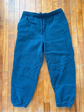 Aritzia Cozy Fleece Mega Sweatpant